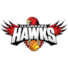 伊拉瓦拉老鹰logo