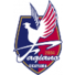 冈山绿雉logo