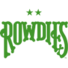 坦帕湾logo