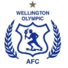 惠灵顿奥运会logo