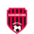 江陵logo