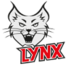 珀斯山猫女篮logo