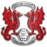 莱顿东方logo